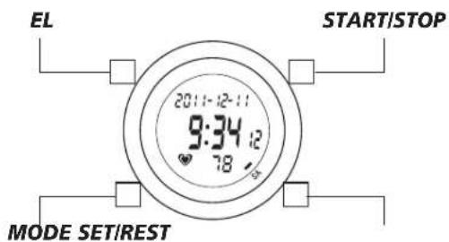 TFA HiTrax Pulse 42.7007 - HiTRAX PULSE - 1