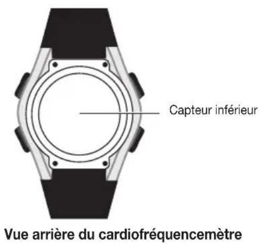 SANITAS SPM 10 - Description de la montre - 1