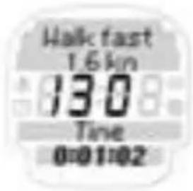 SIGMA Onyx Fit - FITTEST - 1