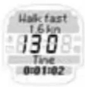 SIGMA Onyx Fit - FITNESS TEST - 1