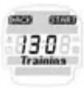 SIGMA Onyx Fit - FITNESS TEST - 2