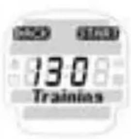 SIGMA Onyx Fit - FIT TEST - 2