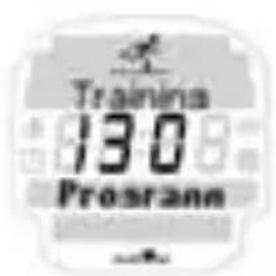 SIGMA Onyx Fit - PROGRAMMIERBARES TRAINING - 1