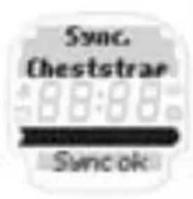 SIGMA Onyx Fit - MEASURING THE HEARTBEAT - 3