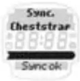 SIGMA Onyx Fit - HARTFREQUENTIEMETING - 3