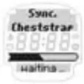 SIGMA Onyx Fit - MEASURING THE HEARTBEAT - 2