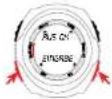 SIGMA Fit Watch - Starten des Training Managers (bei vorhandenem Signal) - 1