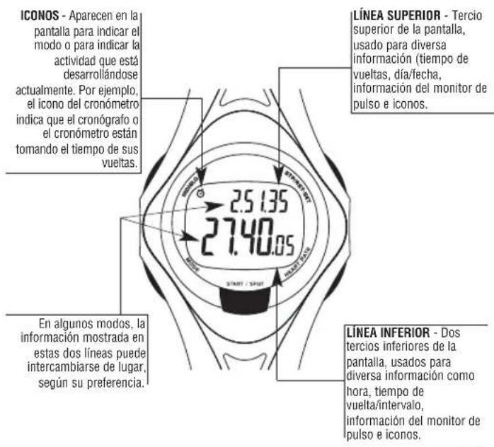 TIMEX W177M586 - Descripción general - 1