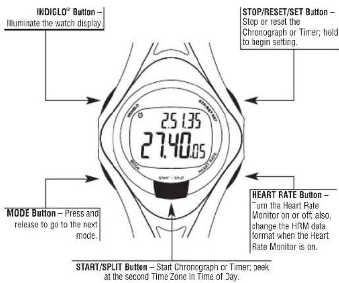 TIMEX W177M586 - Overview - 2