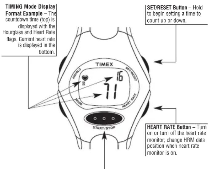 TIMEX W177M586 - Using Timing Mode with the HRM System - 1