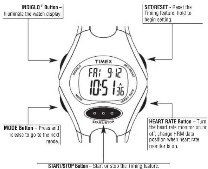 TIMEX W177M586 - Overview - 3