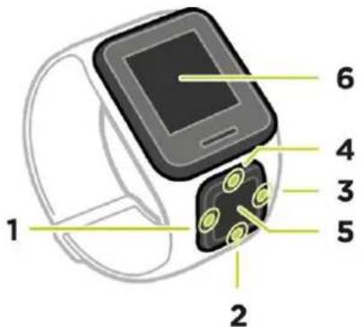 TOMTOM Runner 3 - Informationen zu ihrer Uhr - 1