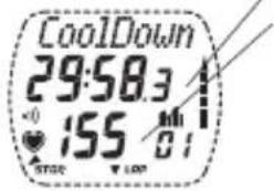 POLAR S725 - Phase de Retour au calme (COOLDOWN) - 1