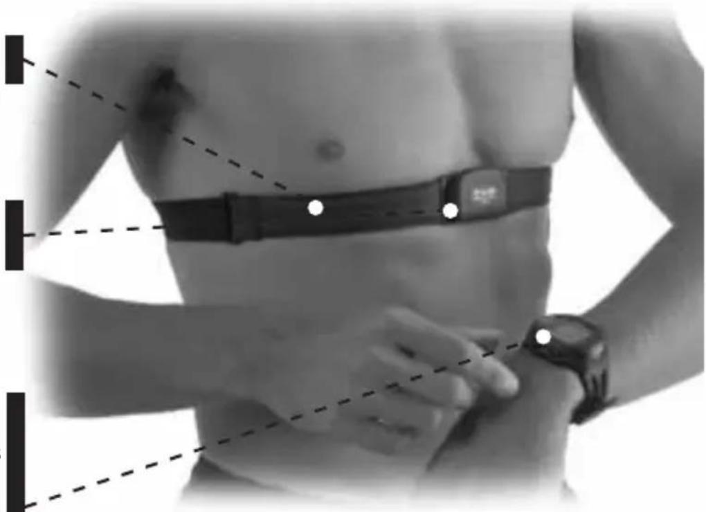 POLAR S725 - Composants du cardioféquencemètre et leurs fonctions - 1