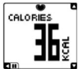 POLAR Move - FC - 1