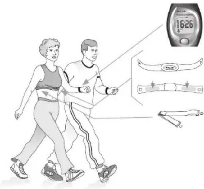 POLAR FS2C - Présentation du cardiofrequency émetteur POLAR FS1, FS2C et FS3C - 1