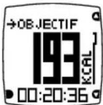 POLAR FA20 - Données affichées pendant la séance - 1