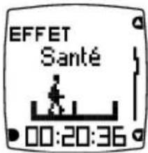 POLAR FA20 - Données affichées pendant la séance - 2