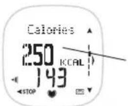 POLAR F11 - Vérifi er les Données d'Exercice - 2
