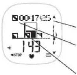 POLAR F11 - Vérifi er les Données d'Exercice - 4