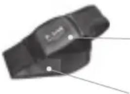 POLAR F11 - COMPOSANTS DU CARDIO F11 - 2