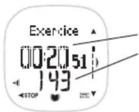 POLAR F11 - Vérifi er les Données d'Exercice - 1