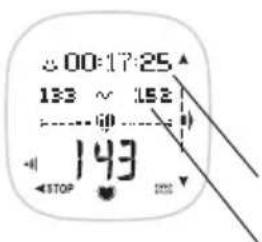 POLAR F11 - Vérifi er les Données d'Exercice - 3