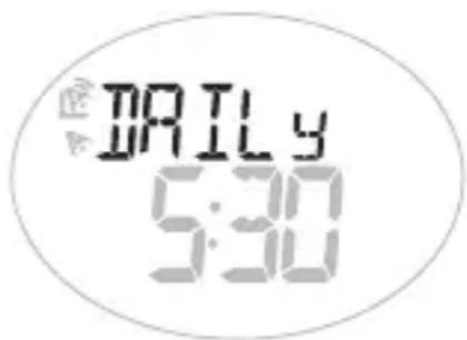 OREGON SCIENTIFIC SE233 - SETTING THE ALARM(S) - 2
