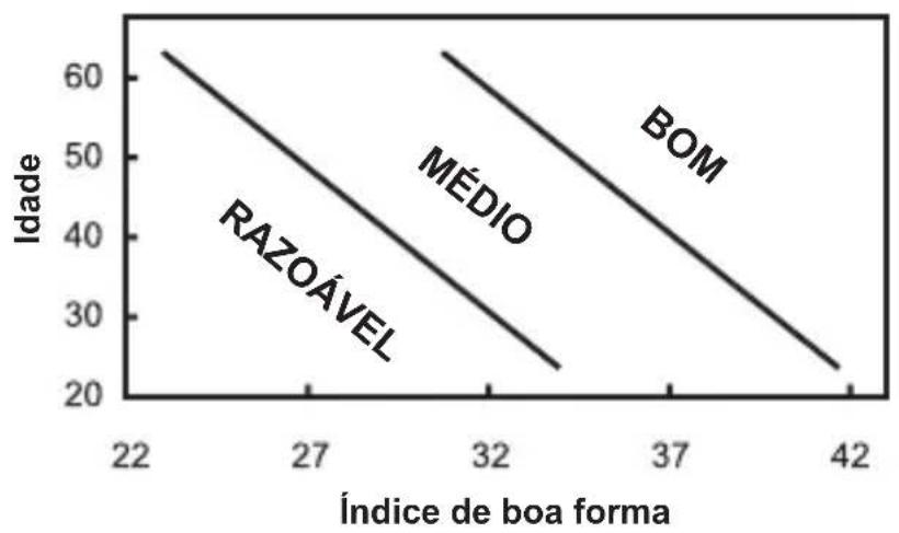 OREGON SCIENTIFIC SE233 - ÍNDICE DE CONDIÇÃO FÍSICA - 1