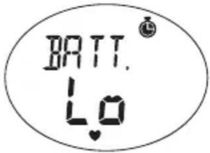 OREGON SCIENTIFIC SE233 - DATENANZEIGE WÄHREND DIE STOPPUHR / LAP LÄUFT - 1