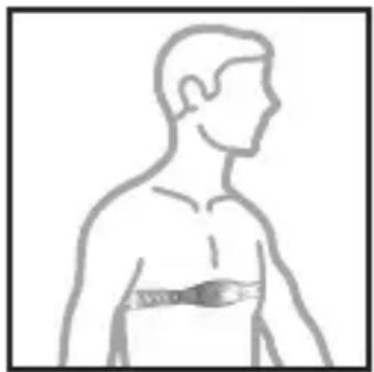 OREGON SCIENTIFIC SE232 - Ceinture thoracique - 1