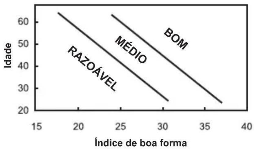 OREGON SCIENTIFIC SE212 - ÍNDICE DE CONDIÇÃO FÍSICA - 2