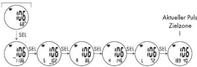 CRIVIT 1LD4086 IAN 270679 - Pulsmesser (PULS/PULSE) - 1