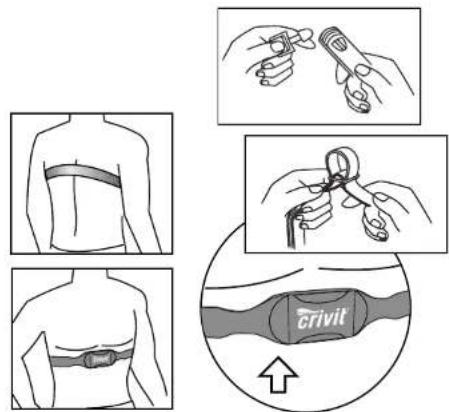 CRIVIT 1LD4086 IAN 270679 - Wearing the chest belt - 1