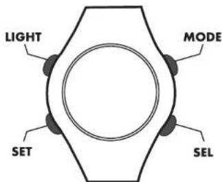 CRIVIT 1LD4086 IAN 270679 - Informations importantes pour l'utilisation de la montre cardioféquencemètre - 1