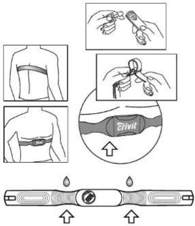 CRIVIT 1LD3945 IAN 107990 - Wearing the chest belt - 1