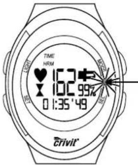 CRIVIT 1LD3814 IAN 47584 - Heart rate measurement - 1