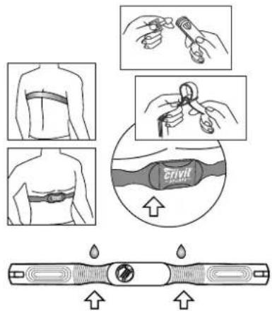 CRIVIT 1LD3814 IAN 47584 - Wearing the chest belt - 1