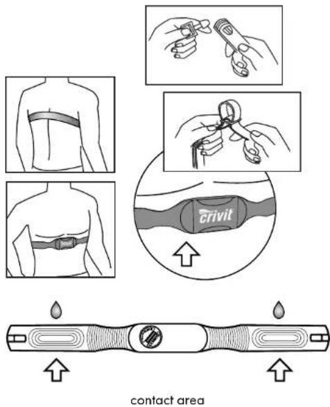 CRIVIT 1LD4487 IAN 277654 - Wearing the chest belt - 2