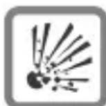 SIEMENS Car Kit Easy HKP600 - Veiligheidsvoorschriften - 6