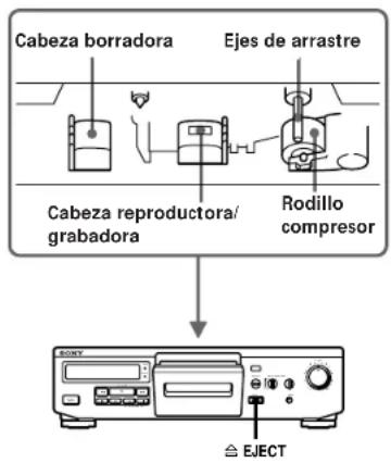 SONY TCKE300 - Limpieza - 1