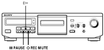 SONY TCKE300 - Inserting a Blank Space During Recording (Record Muting) - 1