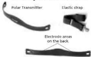POLAR M61 - When using other Polar transmitters: - 1