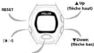 POLAR M61 - BOUTONS ET LEURS FONCTIONS - 1