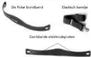 POLAR M61 - Andere Polar borstbanden: - 1