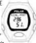 POLAR M62 - CONSOMMATION CALORIQUE AU COURS DE L'ENTRAÎNE- MENT (KCAL / FAT) - 1
