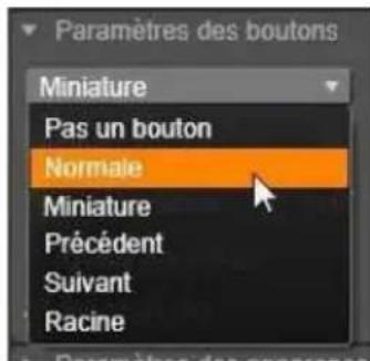 PINNACLE Studio 17 Ultimate - Les types de boutons - 1