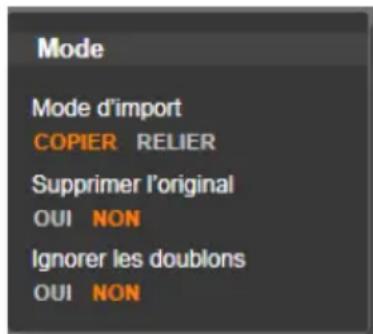 PINNACLE Studio 17 Ultimate - Options d'importation pour les contenus basés sur fichiers - 1