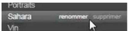 PINNACLE Studio 17 Ultimate - Créer, renommer et supprimer des balises - 1