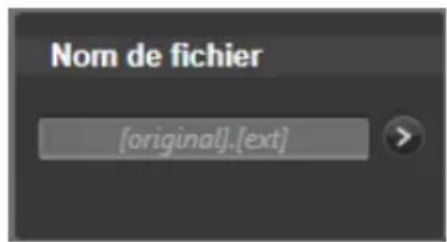 PINNACLE Studio 17 Ultimate - Le panneau du nom de fichier - 2